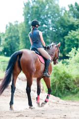 Fototapeta premium Young lady riding a horse in forest. Training process
