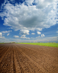 Plowed field in spring time © Željko Radojko