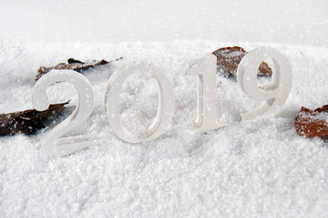 2019