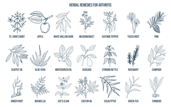 Best herbal remedies for arthritis
