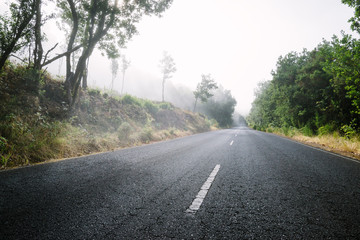 Road with fog
