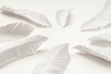 Fototapeta na wymiar the feathers of a bird made of white paper on white background