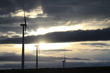 Fototapeta na wymiar Windmills in Idaho