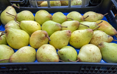 Fresh yellow pears for sale at Porto market (Mercado do Bolhao). Portugal
