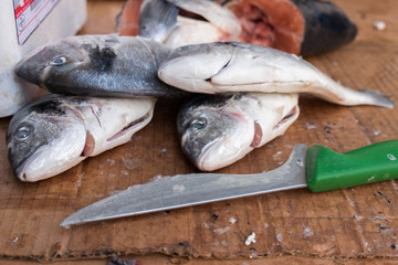 Fresh Gilt-head bream (or dourada) fish at Porto market (Mercado do Bolhao). Portugal