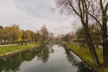 foggy, cold autumn day the trees reflect on the water, nobody is there.