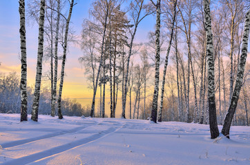 Sunrise in the winter forest