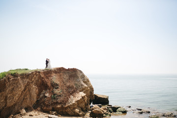Wedding couple stands on the cliff before the sea