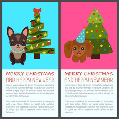 Merry Christmas with Dogs Vector Illustration