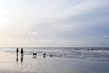 Poster de jardin Mer du Nord, Pays-Bas people and dogs stroll on north sea beach in dutch province of north holland on winter day