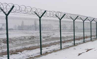 Barb wire fence at the cold winter day