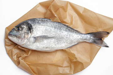Gilt-head bream fish on the brown paper

