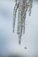 close up of icicle melting