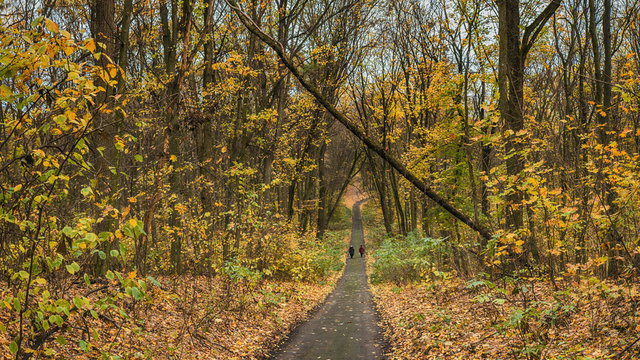 Couple walking along autumn alley in the old park