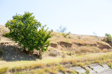 irrigation canal. Old irrigation canal made of concrete slabs