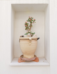 vase with flower in rectangular wall recess