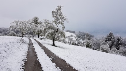 Magdalenaberg - Inzersdorf - Austria