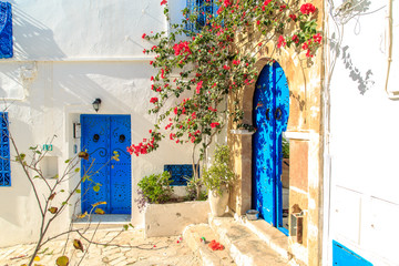 White-blue city of Sidi Bou Said, Tunisia.