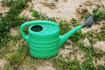 Two snails in the grass.