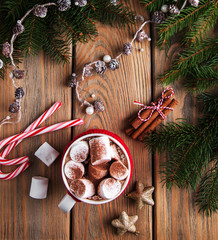 Christmas cocoa with marshmallow