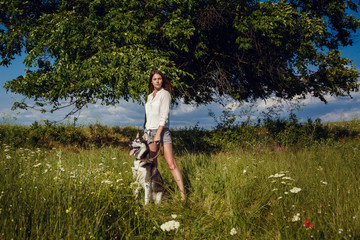 Young beautiful girl playing with a dog. Playing with the dog on the park. Close-up portrait. Siberian husky.