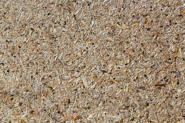osb - oriented strand board or qsb - quality strand board, chipboard texture or chipboard background  with copy space for text or image.