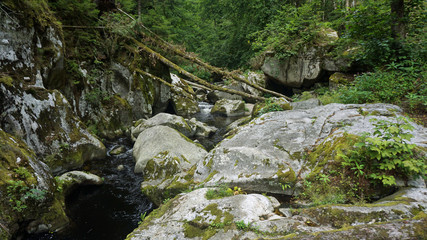 Die Alb, ein wild romantischer Fluss im Südschwarzwald