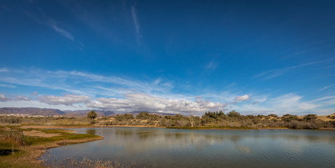 La Charca, bird observation place and nature reserve in Maspalomas in Gran Canaria, Spain