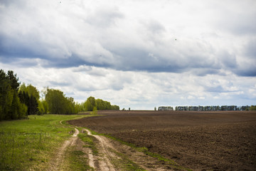 сельская дорога возле леса
