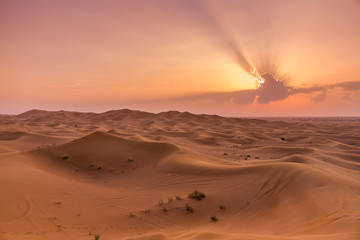 Dubai Desert