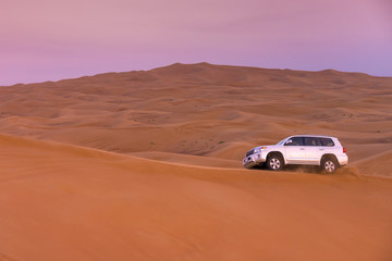 Obraz na płótnie Canvas Desert safari