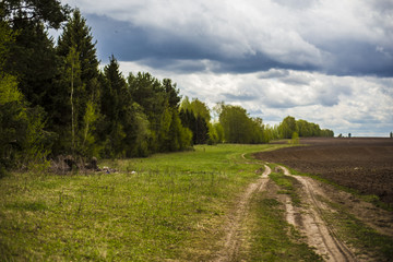 сельская дорога возле леса