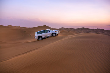 Fototapeta na wymiar Desert safari