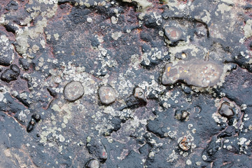 abstract texture of rock background