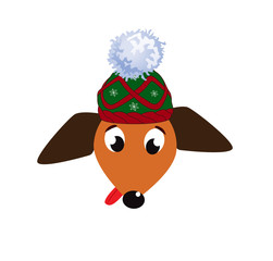 Portrait of cute cartoon dachshund dog dressed in knitted hat