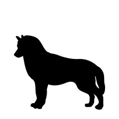 Black silhouette of dog standing backways isolated on white background