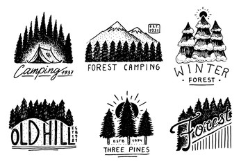coniferous forest, mountains and wooden logo. camping and wild nature. landscapes with pine trees and hills. emblem or badge, tent tourist, travel for labels. engraved hand drawn in old vintage sketch