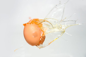 Ei - Egg Ei - Egg explodiert/ explodes Hintergrund weiß freigestellt / background white isolated 
