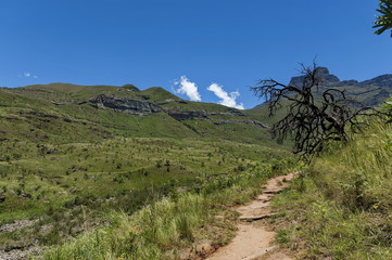 Fototapeta na wymiar Path, walk to Thukela waterfall in Royal Natal Park Drakensberg mountain, South Africa