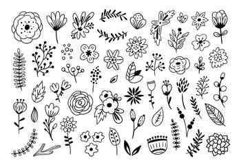 Floral graphic elements big vector set. Flowers and plants hand drawn illustrations