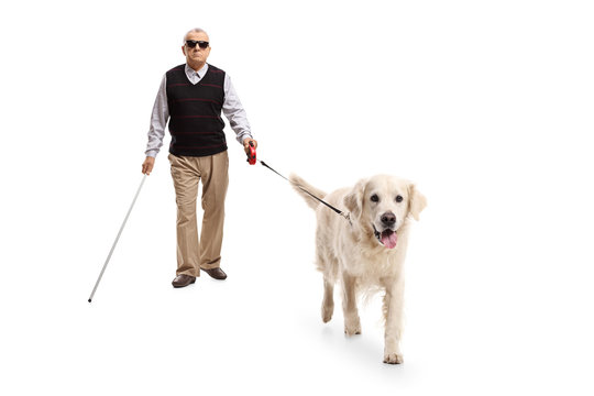 Blind mature man walking with a stick and a dog