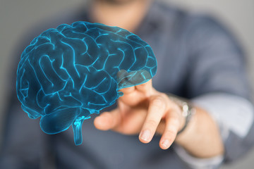 brain
