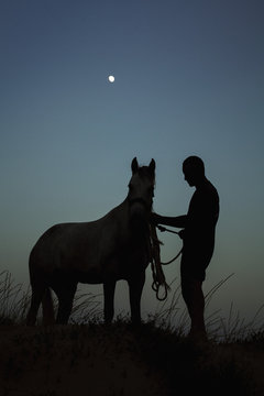 Silhouette man standing with horse on field against blue sky at dusk