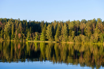 Forest reflects in the calm water of the lake