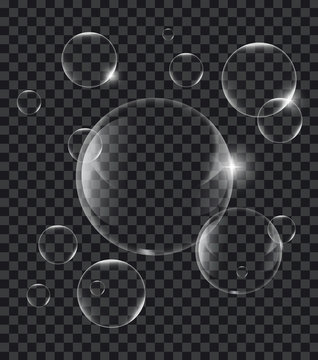Soap or Water bubbles on tranparency background ,vector design element EPS10 illustration