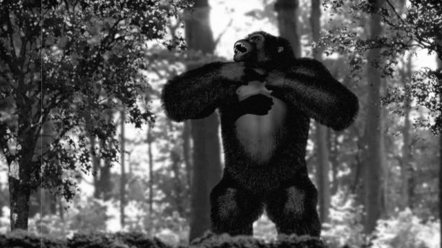 Gigantic monster ape drums on his chest