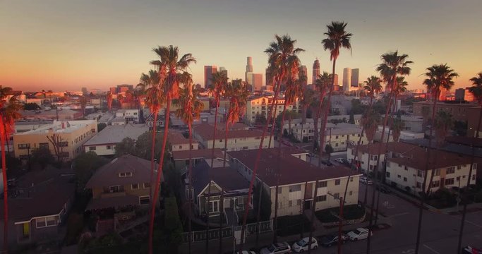 Aerial view downtown Los Angeles skyline revealing through row palm trees 4K UHD