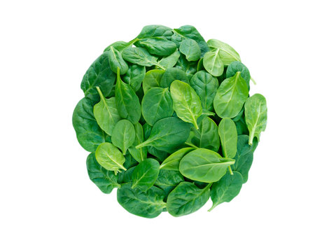 Round heap of spinach leaves top view