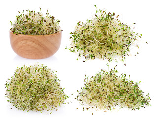 heap of alfalfa sprouts on white background