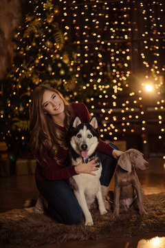 Pretty Girl In The New Year With Dog Husky/Christmas